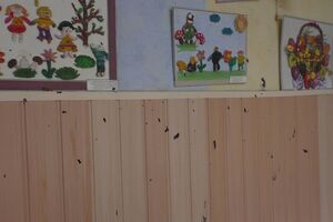 Анна Домбровская: С сегодняшнего дня сад закрыт на неопределенное время