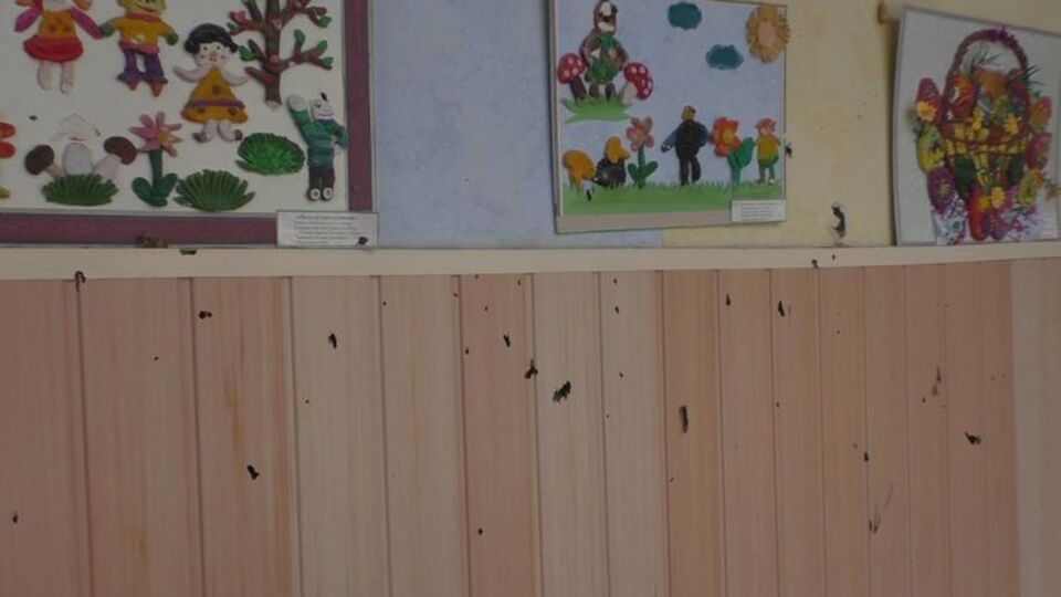 Анна Домбровская: С сегодняшнего дня сад закрыт на неопределенное время