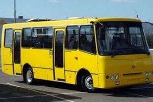 В Виннице уволили водителя маршрутки, оскорбившего участников АТО