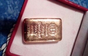 В особняке Николая Романчука обнаружили золото, доллары и фашистские кресты