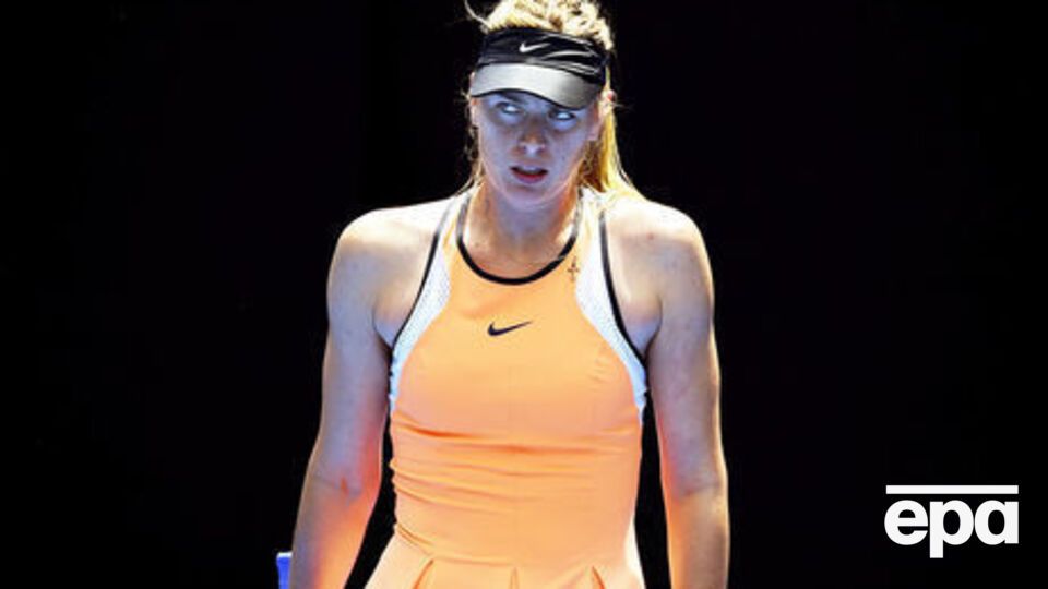 Nike будет сотрудничать с Шараповой, несмотря на ее дисквалификацию