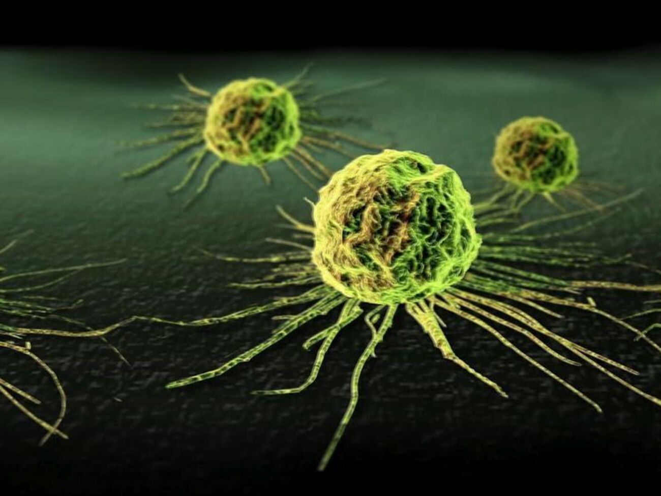 Ученые продолжают поиски лекарств от рака