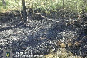 Два злоумышленника намеревались сжечь в лесу подростка