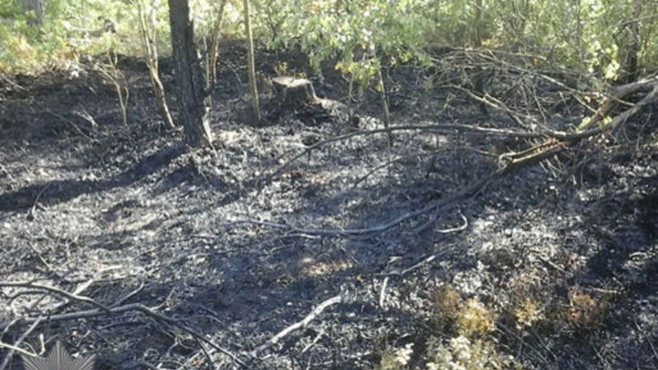Два злоумышленника намеревались сжечь в лесу подростка