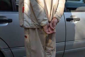 Члены наркогруппировки возили прекурсоры для изготовления наркотиков из Европы