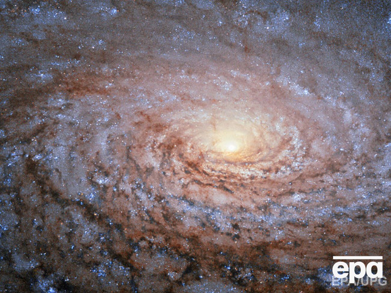 Ученые задумались над очередным, пока тупиковым, вопросом