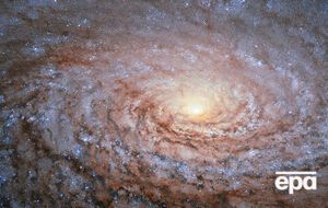 Ученые задумались над очередным, пока тупиковым, вопросом