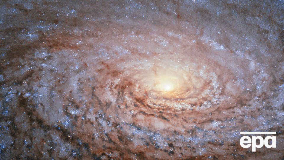 Ученые задумались над очередным, пока тупиковым, вопросом