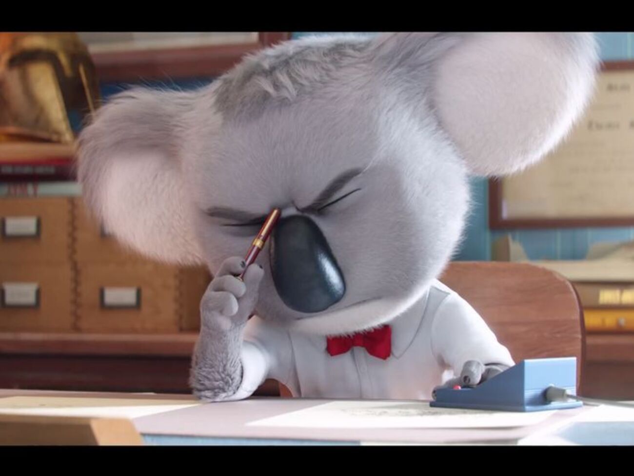 Коала устроит музыкальный конкурс