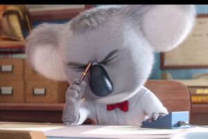 Коала устроит музыкальный конкурс