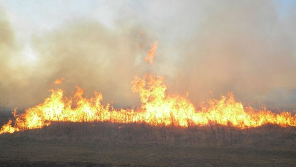 Под Черниговом горел военный полигон