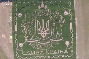Огромный кукурузный лабиринт сняли с высоты птичьего полета