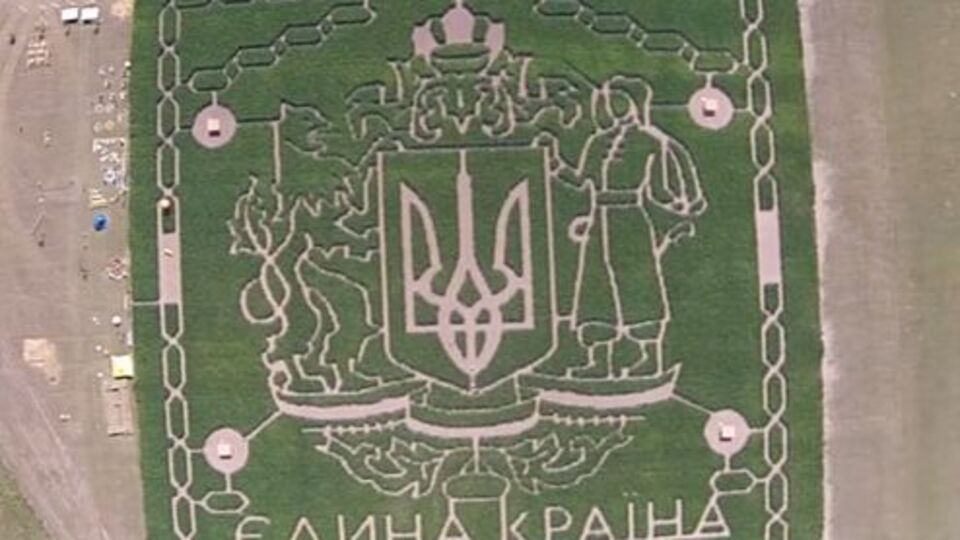 Огромный кукурузный лабиринт сняли с высоты птичьего полета