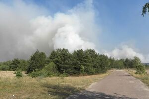 В зоне отчуждения спасатели тушат лесную подстилку и кустарники