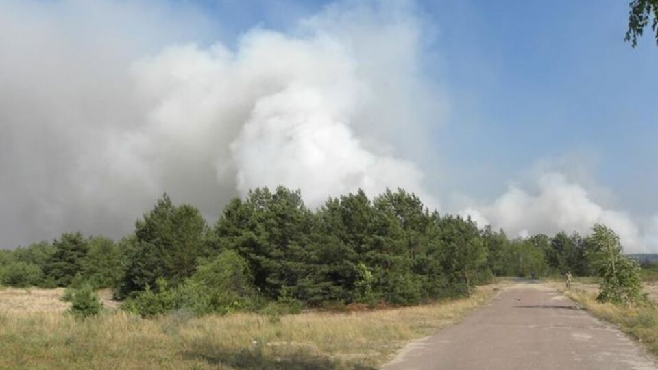 В зоне отчуждения спасатели тушат лесную подстилку и кустарники