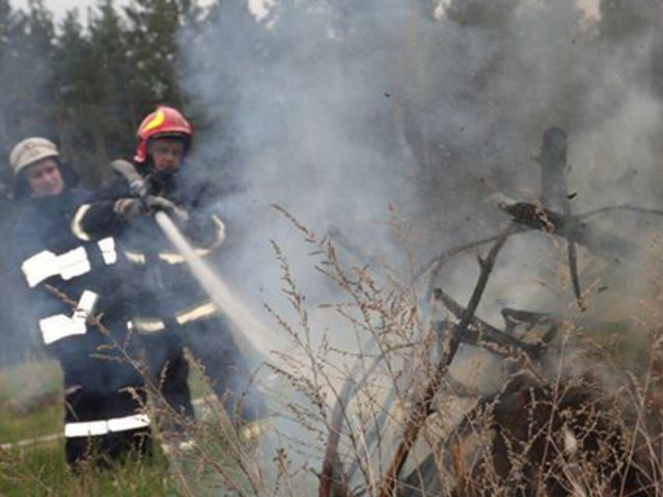 Площадь лесного пожара в зоне отчуждения уменьшилась