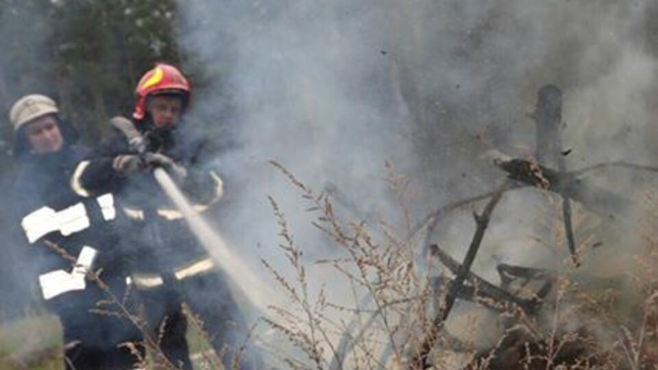 Площадь лесного пожара в зоне отчуждения уменьшилась