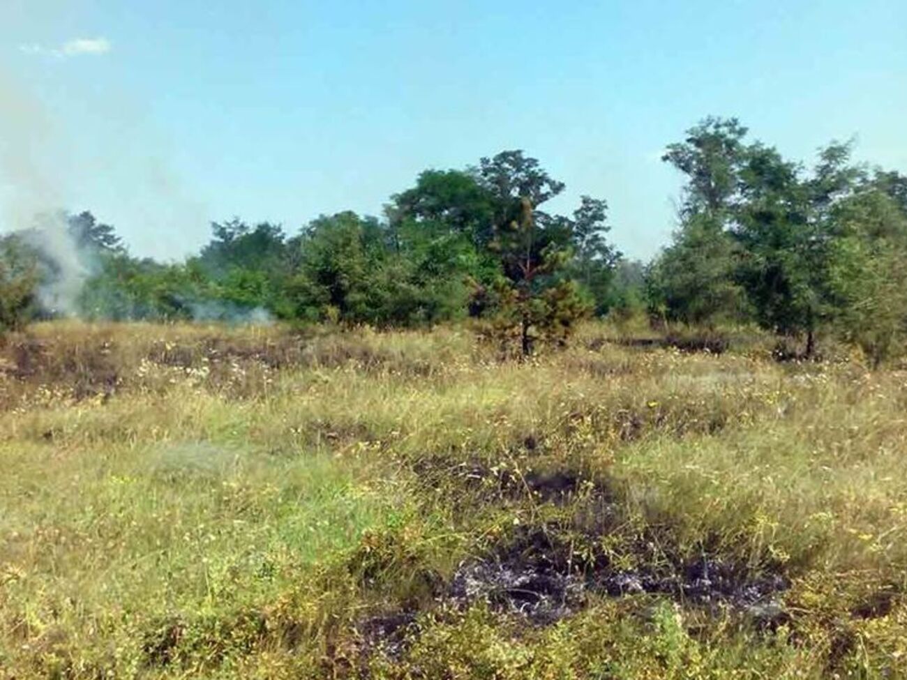 Огонь по траве добрался до леса и домов