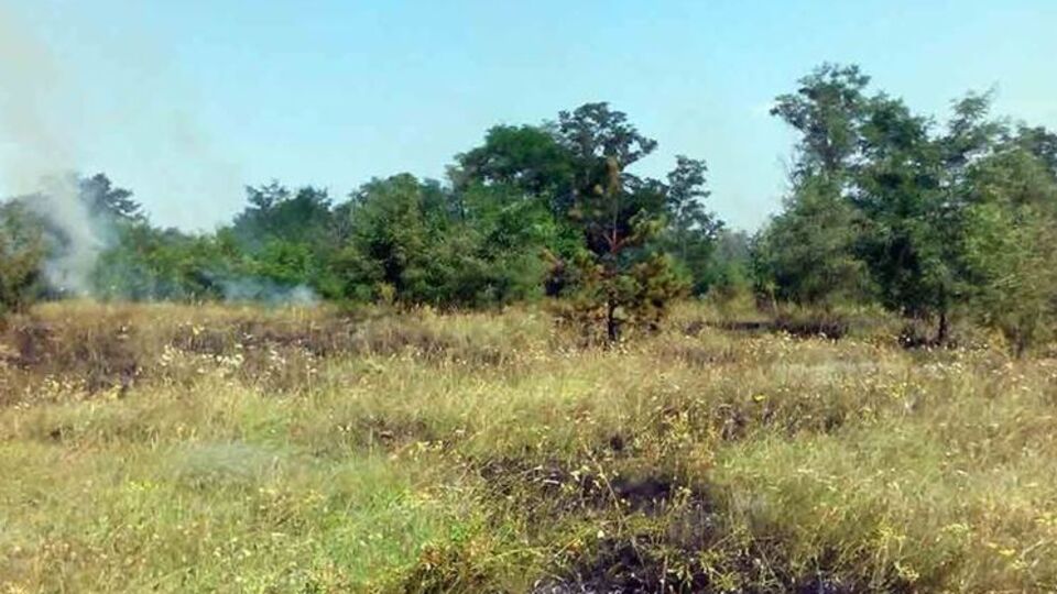 Огонь по траве добрался до леса и домов