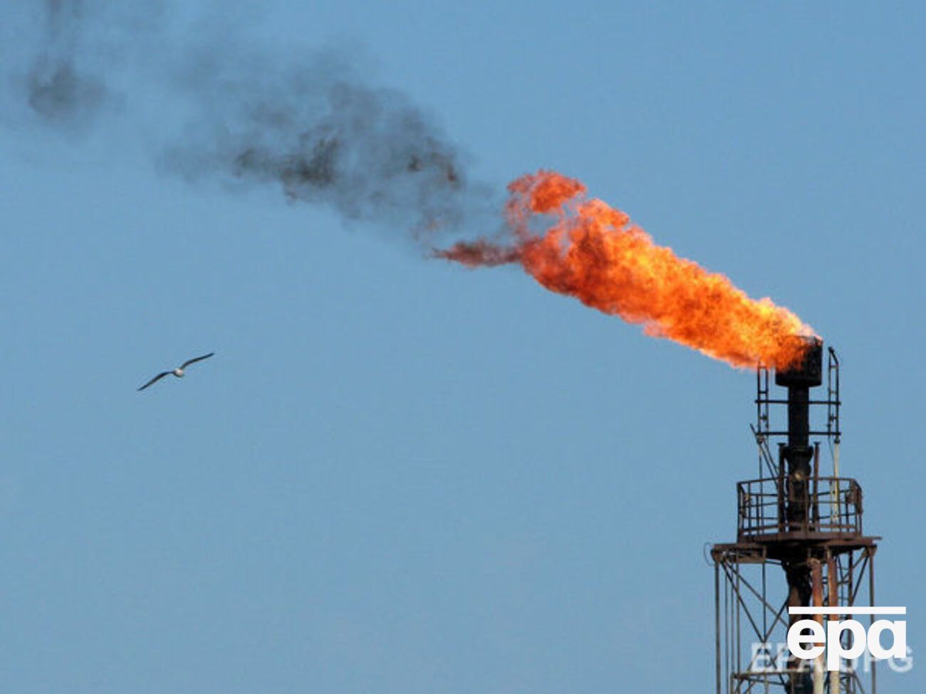 Нефть дорожает