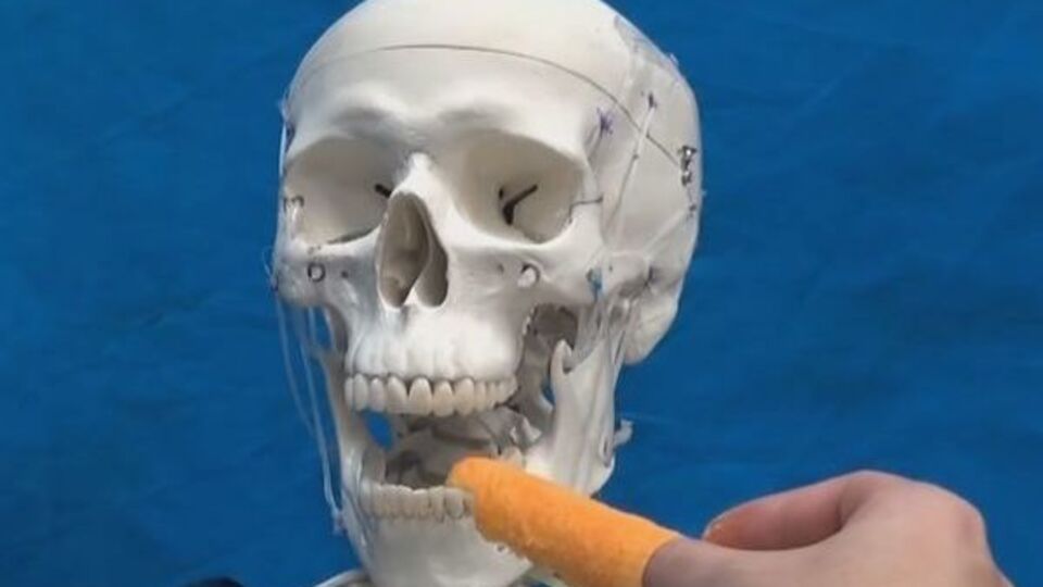 Мышцы робота закреплены аналогично человеческим