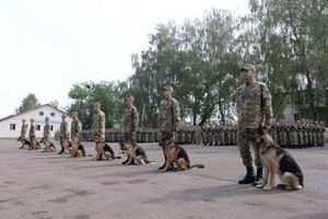 Десять овчарок-пограничников принесли присягу