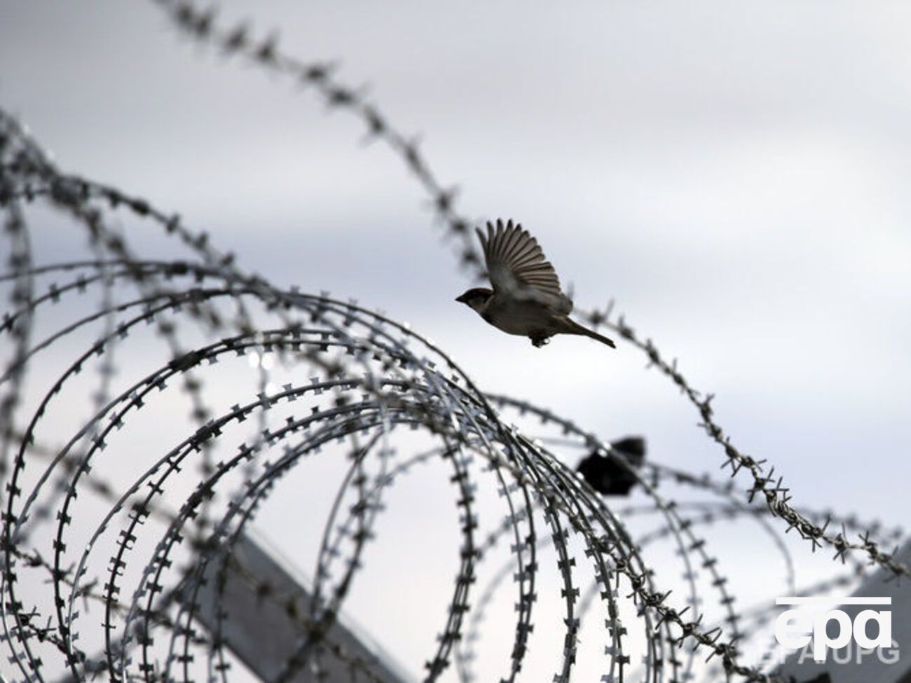 В полиции заявляют, что конфликт в колонии под Киевом улажен