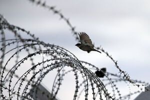 В полиции заявляют, что конфликт в колонии под Киевом улажен