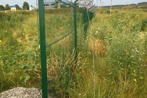 Нардеп Сотник показала фото со строительства "Стены" на границе с РФ в Харьковской области