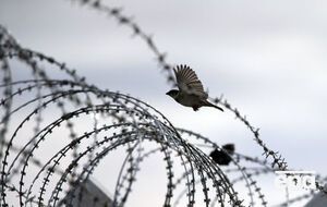 В связи с инцидентом в колонии открыто уголовное производство, сообщили в Генпрокуратуре