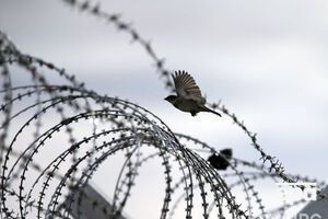 В связи с инцидентом в колонии открыто уголовное производство, сообщили в Генпрокуратуре