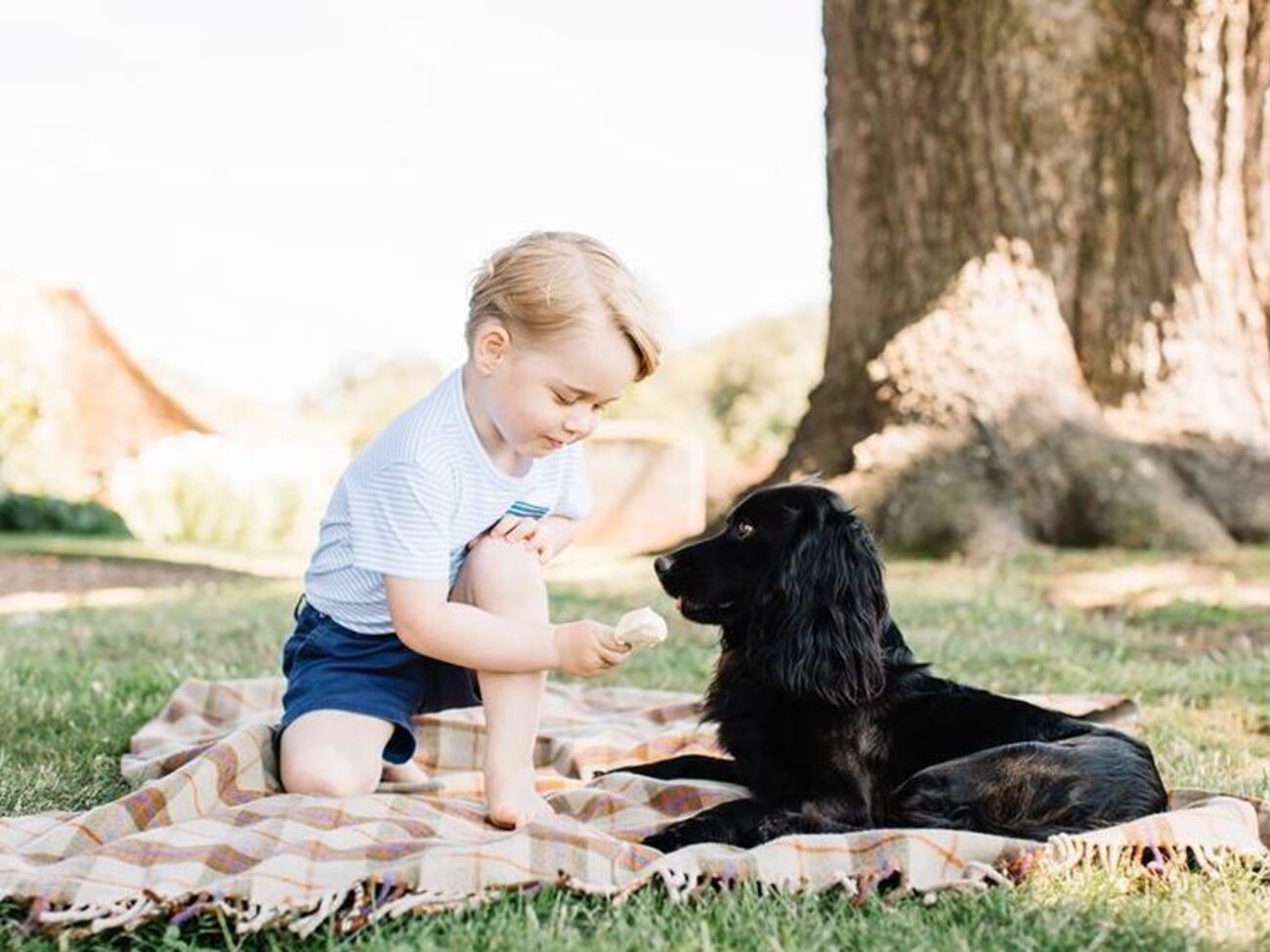 Принц Джордж родился 22 июля 2013 года
