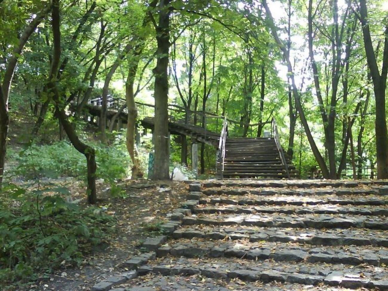 Лестницу планировали отремонтировать, но под ней обнаружилась другая, каменная