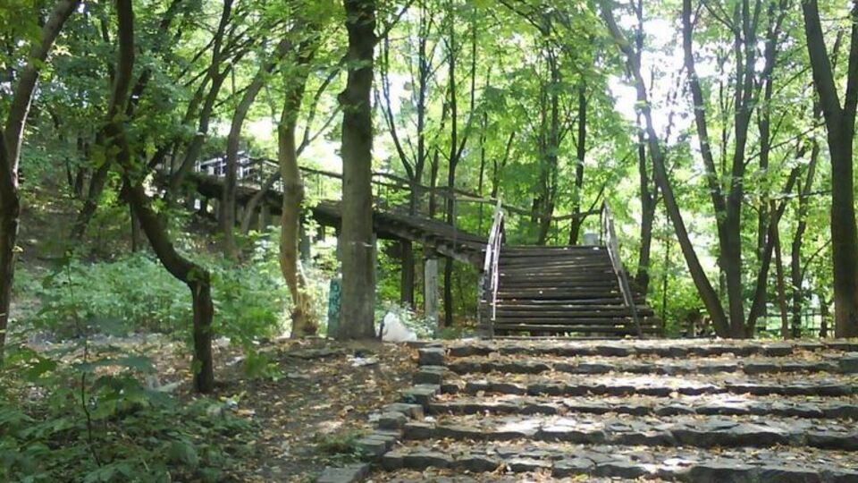 Лестницу планировали отремонтировать, но под ней обнаружилась другая, каменная