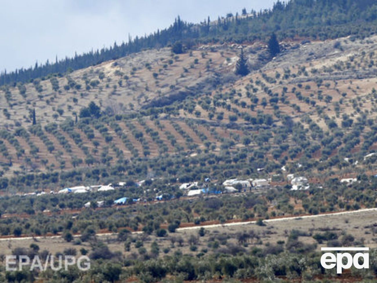 По данным минобороны РФ, в Сирии погибли 14 российских военных