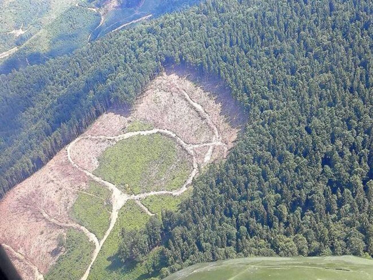 Луценко:&nbsp;Реально речь идет об экоциде Карпат