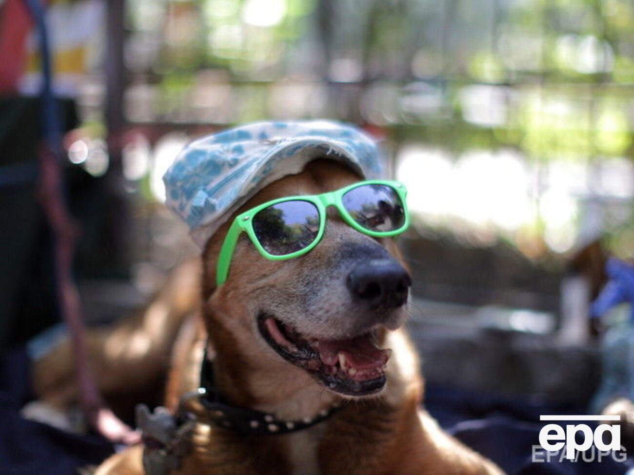 В Украину вернулась жара