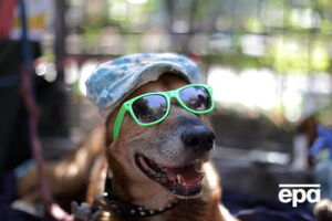 В Украину вернулась жара