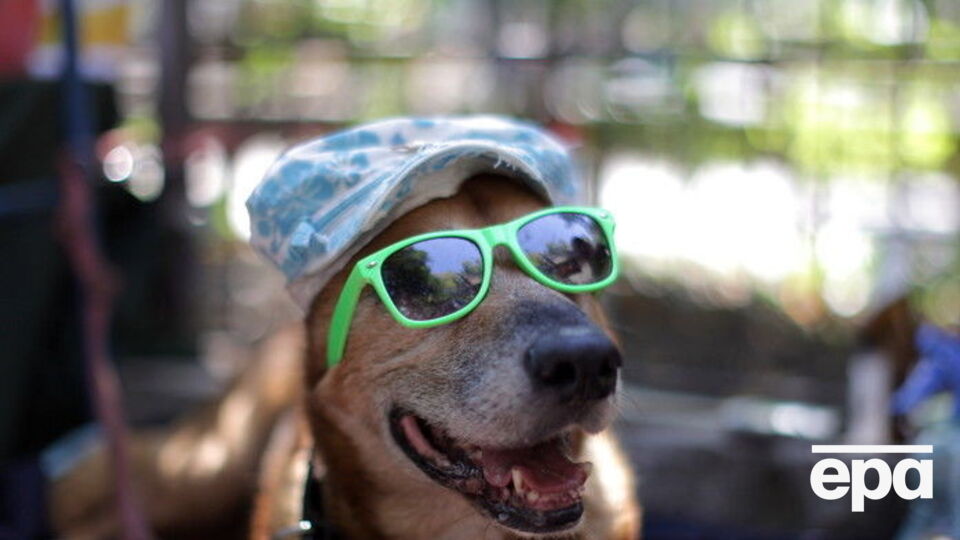 В Украину вернулась жара