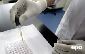 Ученые уверены, что эксперимент подтверждает общепризнанную гипотезу