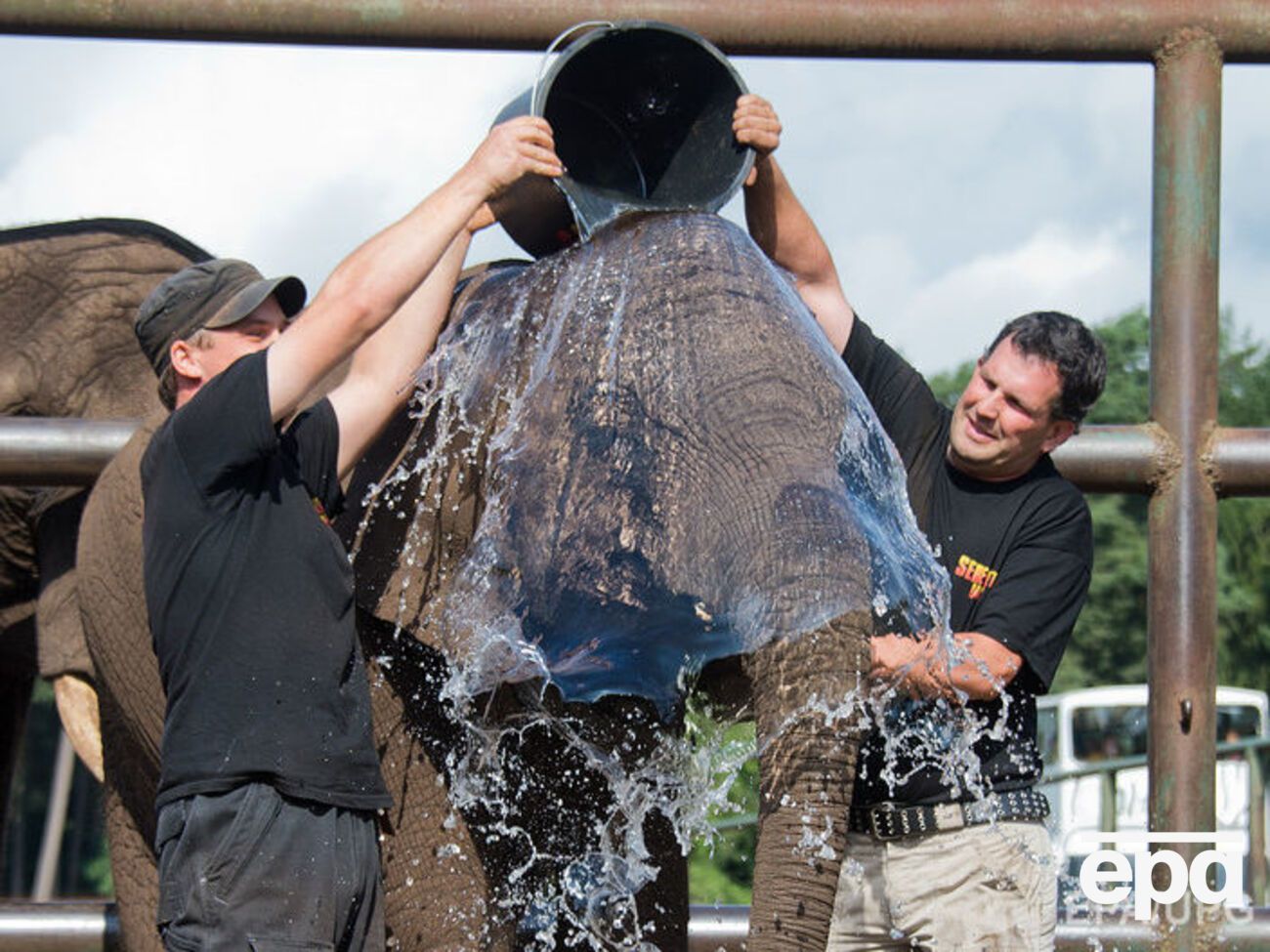 Флешмоб Ice Bucket Challenge прошел в 2014 году