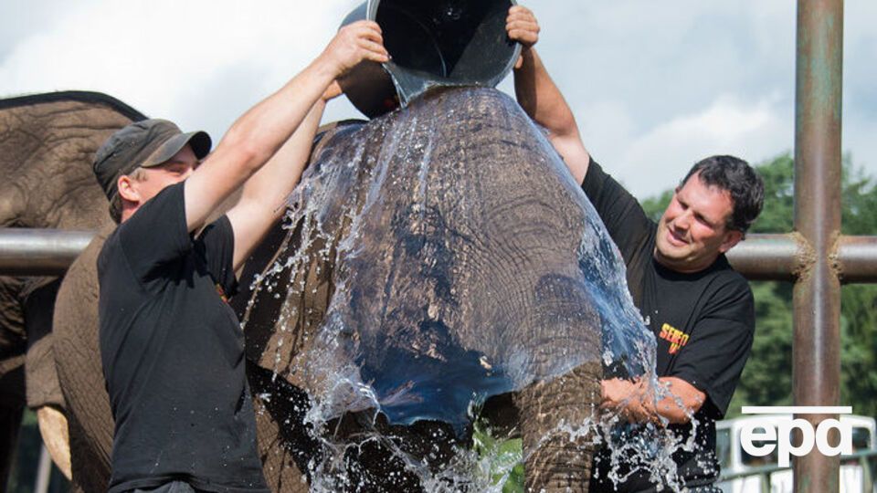 Флешмоб Ice Bucket Challenge прошел в 2014 году