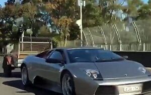 В прицепе водитель редкой модели ламборджини вез коз