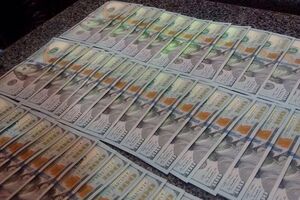 У судьи Швеца нашли наличные и долговые расписки на общую сумму $775 тыс.