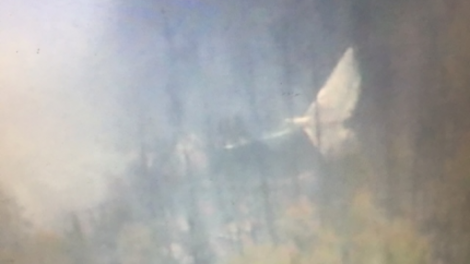 Обломки потерпевшего крушение в РФ Ил-76 были найдены одной из наземных групп спасателей