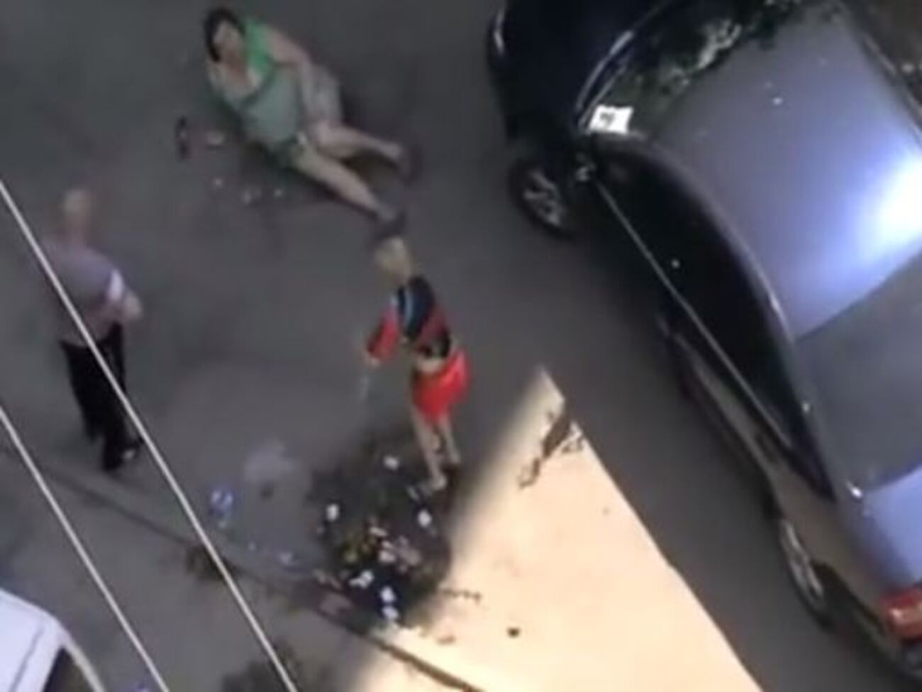 Предположительно жена депутата Александра Заманского уничтожает содержимое сумки с продуктами пожилой женщины