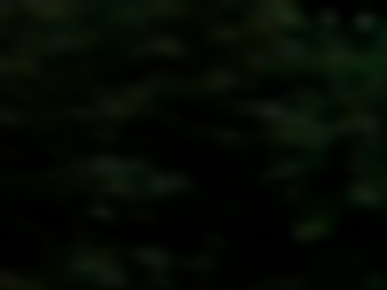 По данным очевидцев, мужчина наступил на "что-то, что взорвалось"