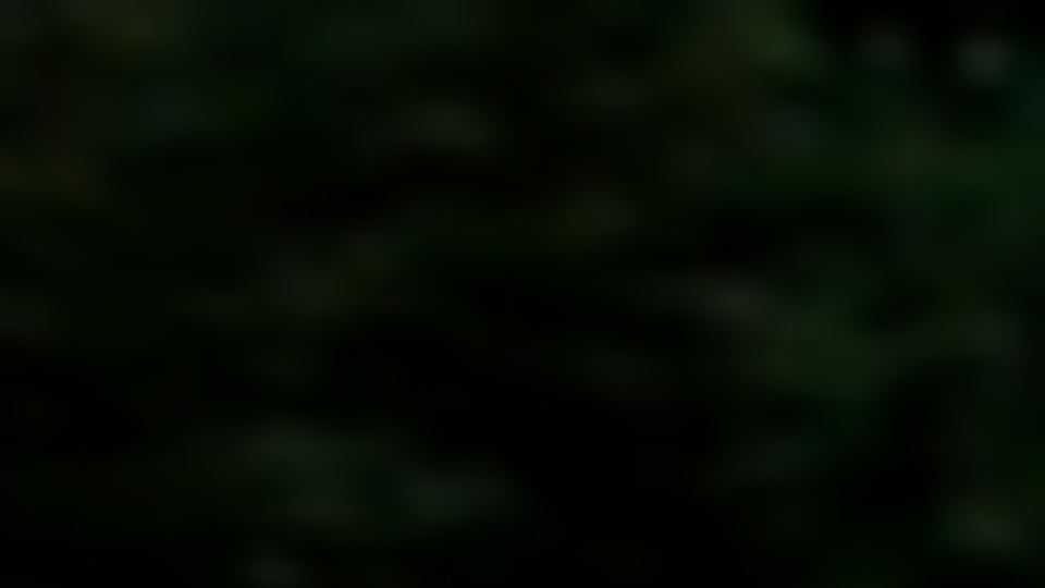 По данным очевидцев, мужчина наступил на "что-то, что взорвалось"