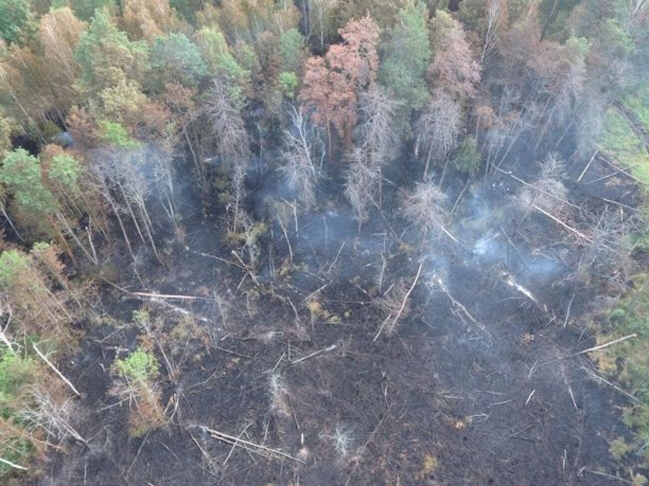 Пожарники в зоне отчуждения наблюдают за тлеющей лесной подстилкой
