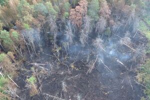 Пожарники в зоне отчуждения наблюдают за тлеющей лесной подстилкой